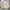 The North Face Streetwear Sportswear Bomber jacket Pria cream photo 7