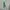 Polo Ralph Lauren Coquette Casual Hoody Pria white photo 2