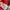 New Balance Biker Jumper Pria red gray photo 7
