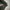 Fieldcore Gorpcore Casual Puffer jacket Pria green photo 8
