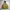 L.L.Bean Gorpcore Casual Puffer jacket Pria tan photo 1