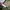 L.L.Bean Gorpcore Casual Puffer jacket Pria tan photo 2