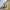 L.L.Bean Gorpcore Casual Puffer jacket Pria tan photo 5