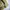 L.L.Bean Gorpcore Casual Puffer jacket Pria tan photo 4
