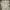 L.L.Bean Gorpcore Casual Puffer jacket Pria tan photo 6