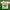 babyGap Casual T-shirt Kids cream photo 1