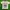 BabyGap Casual T-shirt Kids Cream