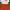 babyGap Casual Kids white red photo 1