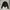Emo Coquette Crop top Wanita black photo 1