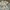 Vintage Pakaian adat Kebaya Wanita gray blue photo 2