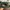 Streetwear Casual Hat Pria green tan photo 3