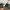 Streetwear Casual Hat Pria green tan photo 2