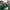 Streetwear Casual Hat Pria green tan photo 4