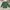 Vintage Casual Casual shirt Pria green photo 2