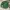 Vintage Casual Casual shirt Pria green photo 1