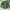 Vintage Casual Casual Shirt Pria Green
