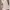 Casual Midi dress Wanita tan cream photo 2