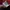 Asics Streetwear Sportswear Track jacket Pria red photo 3