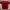 Casual T-shirt Pria Red