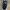 VANS Vintage Boots Pria blue photo 2