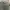 The North Face Casual Sweatshirt Pria gray photo 3