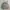 The North Face Casual Sweatshirt Pria gray photo 1
