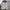 Champion Streetwear Sportswear Track jacket Pria gray photo 1