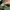 Uniqlo Vintage Streetwear Pria green photo 3