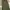 Uniqlo Vintage Streetwear Pria green photo 4