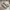 Onitsuka Tiger Casual Sneakers Pria Green Tan