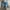 Casual Skinny jeans Wanita gray blue photo 1