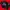 Champion Sportswear Jersey Pria black photo 1