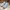 National Geographic Sportswear Casual Sneakers Pria gray photo 3