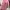 Casual Fleece Wanita pink photo 2