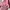 Casual Fleece Wanita pink photo 2