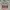 Japanese Brand Vintage Streetwear Casual Shirt Pria Multicolor