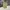 Gramicci Minimalist Formal pants Pria multicolor photo 5