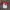 Vintage Y2K T-shirt Pria white red photo 1