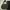 Luxury Handbag Wanita black photo 1