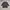 Adidas Streetwear Casual T-shirt Pria gray photo 2