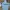 Champion Y2K Track jacket Pria gray photo 5