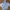 Champion Y2K Track jacket Pria gray photo 1