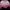 Y2K Crop top Wanita white pink photo 1