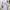 Stone Island Streetwear Polo shirt Pria white photo 5