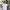 Stone Island Streetwear Polo shirt Pria white photo 2