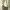 Coach Luxury Casual Shoulder bag Wanita tan brown photo 2