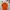 Streetwear Sportswear Polo shirt Pria orange photo 5