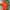 Streetwear Sportswear Polo shirt Pria orange photo 2
