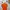 Streetwear Sportswear Polo shirt Pria orange photo 4