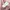 NII Casual Bomber jacket Wanita pink photo 8